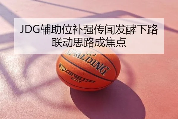 JDG辅助位补强传闻发酵下路联动思路成焦点